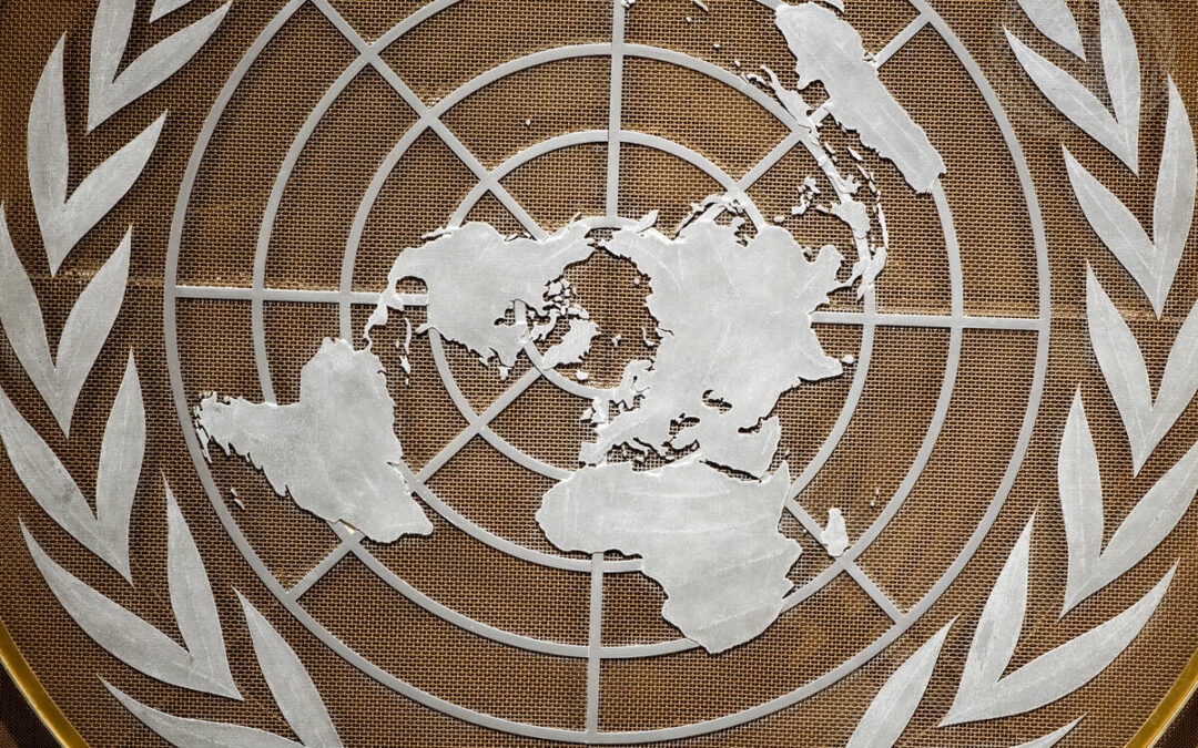 Dia da ONU nos faz refletir sobre a sua importância