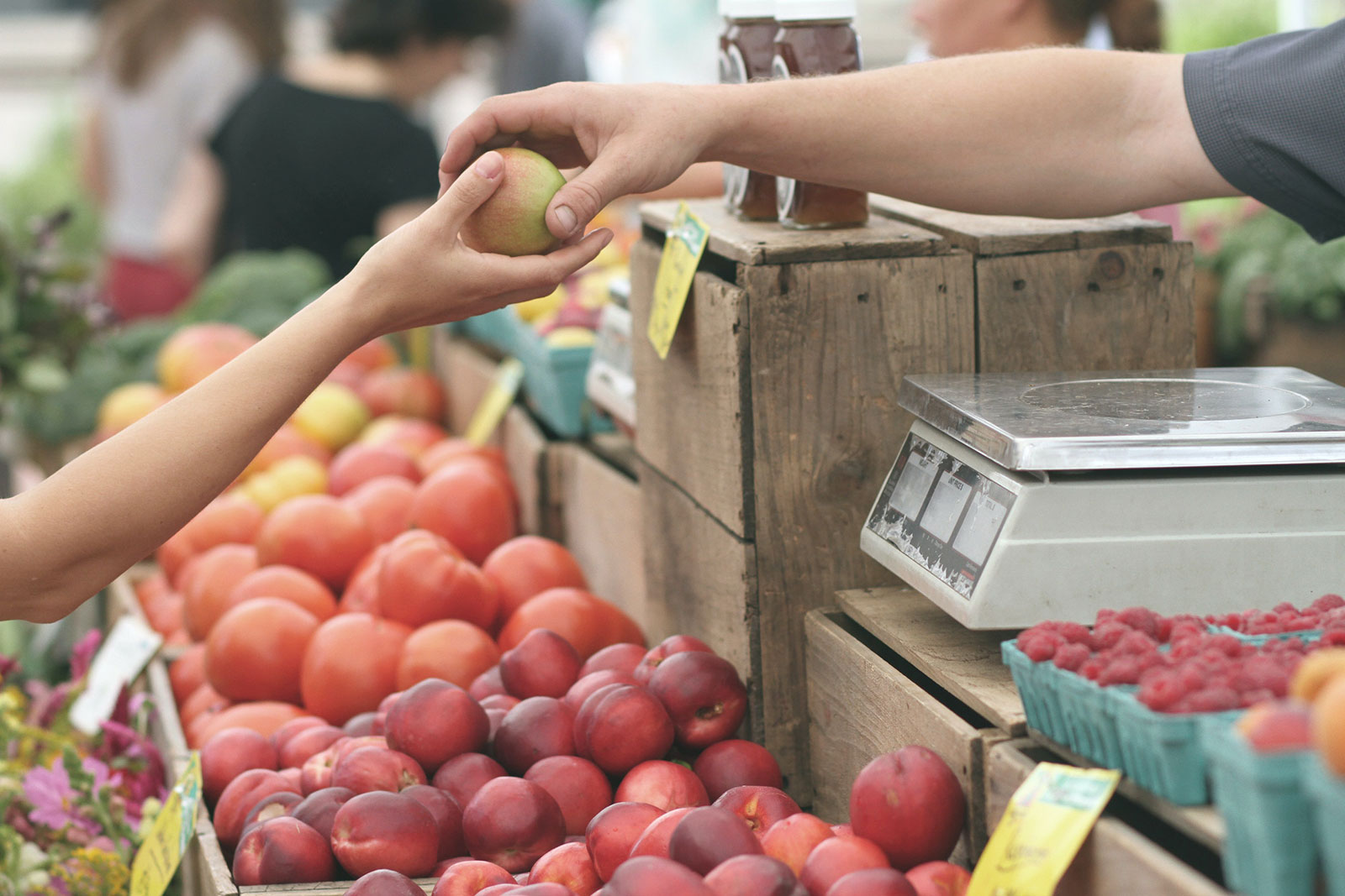 ODS 12 fala sobre produção e consumo responsáveis