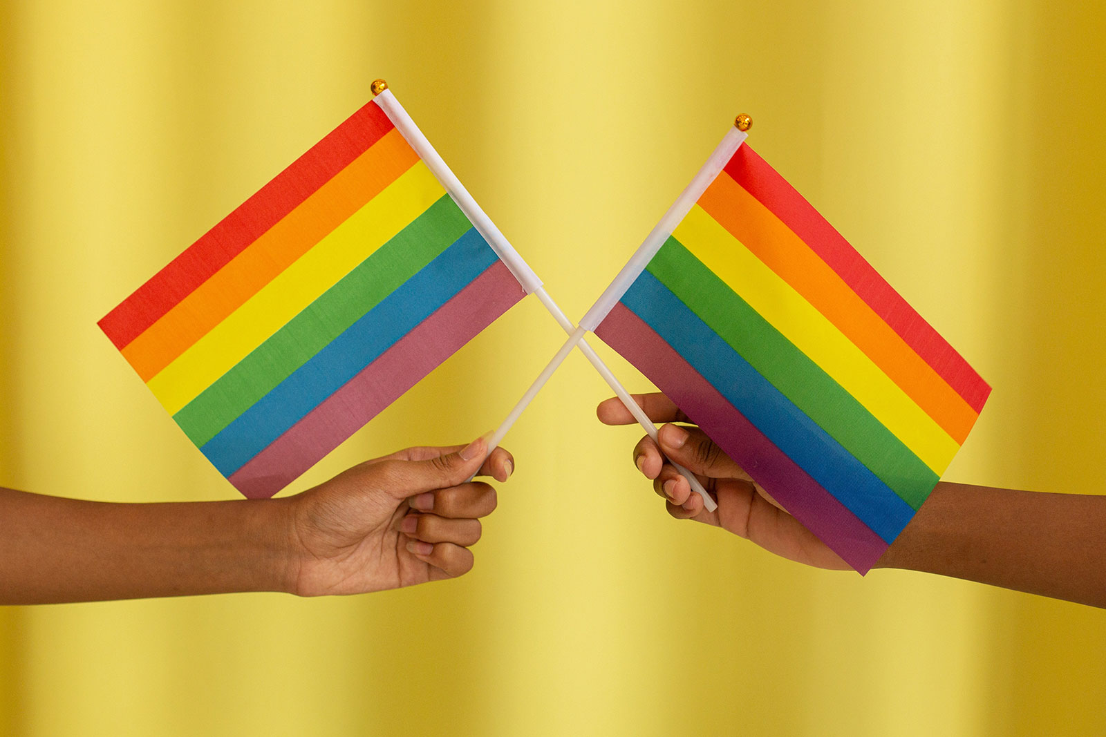 Bandeiras do orgulho LGBTQIA+