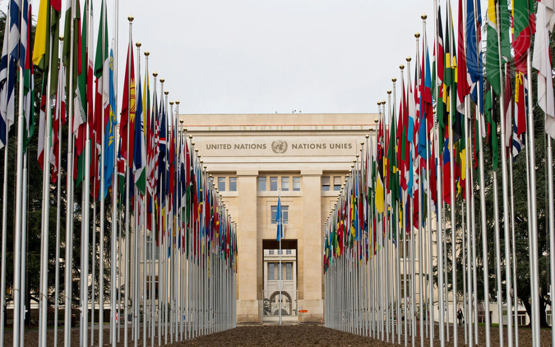 ONU recomenda ações específicas de Educação em Direitos Humanos pela primeira vez ao Brasil