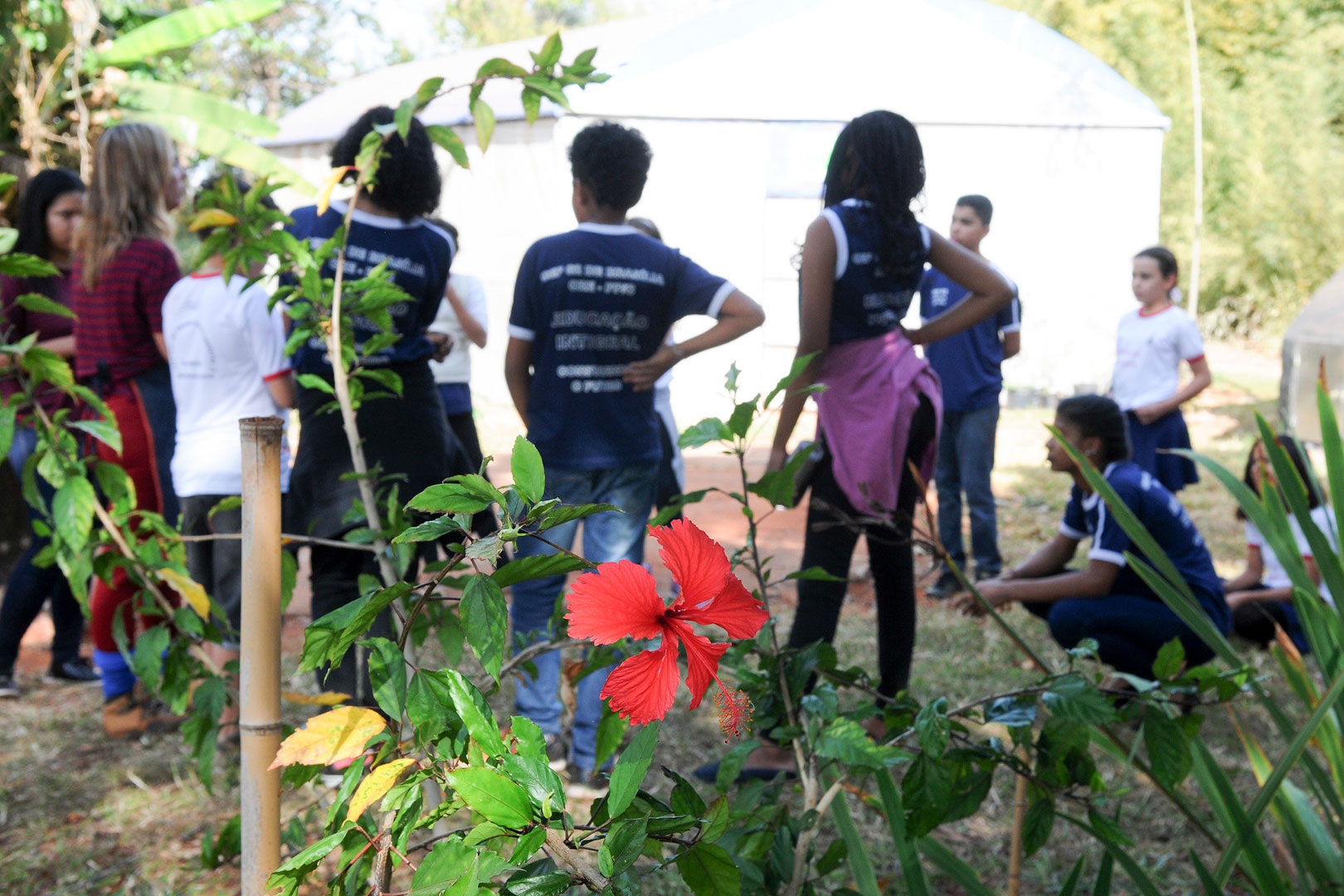 Educação ambiental deve estar no ensino formal e não formal