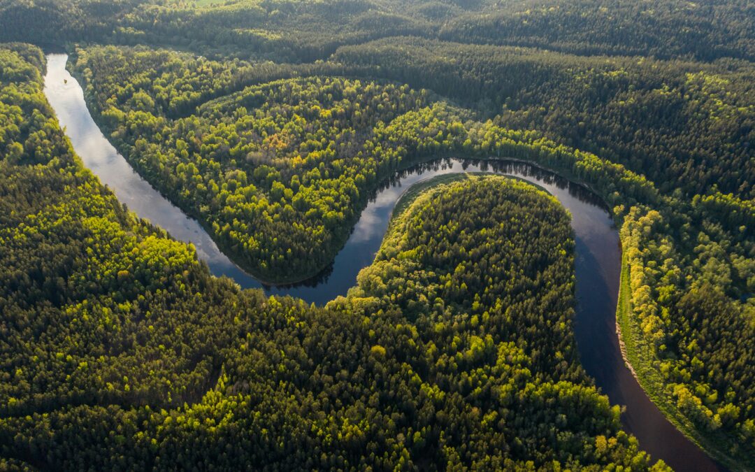 Dia da Amazônia (05/09)