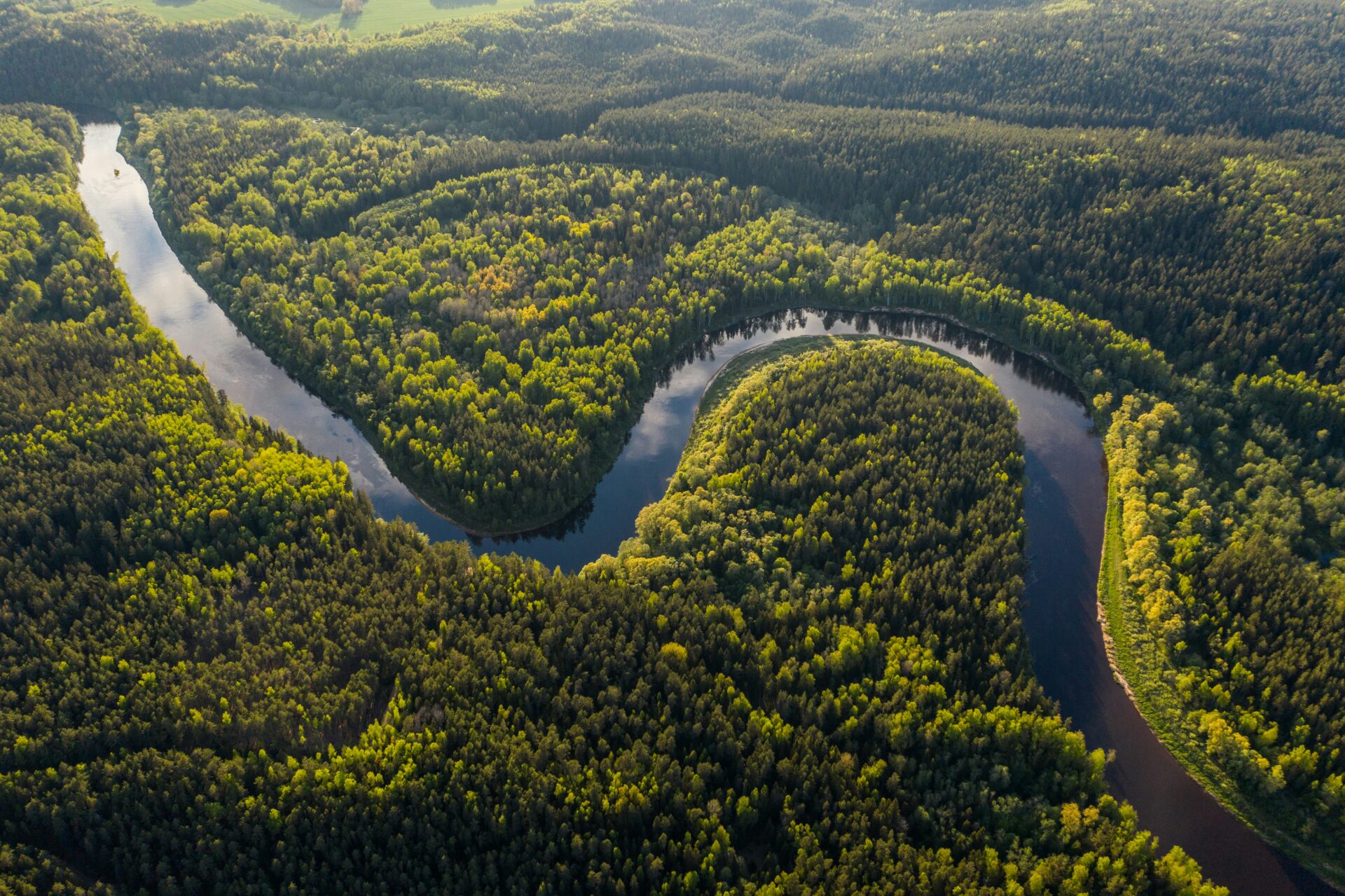 Foto aérea de um rio representando o Dia da Amazônia